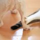 犬・猫の尿石症の予防法